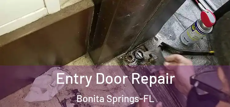 Entry Door Repair Bonita Springs-FL